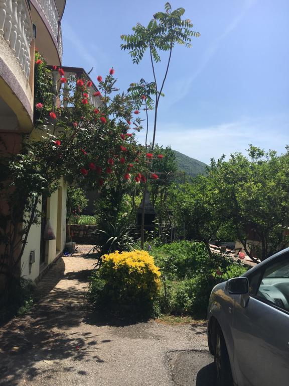 Sunny Villa Apartments Budva Buitenkant foto