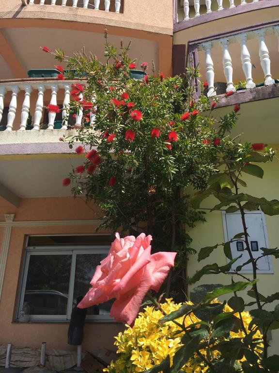 Sunny Villa Apartments Budva Buitenkant foto
