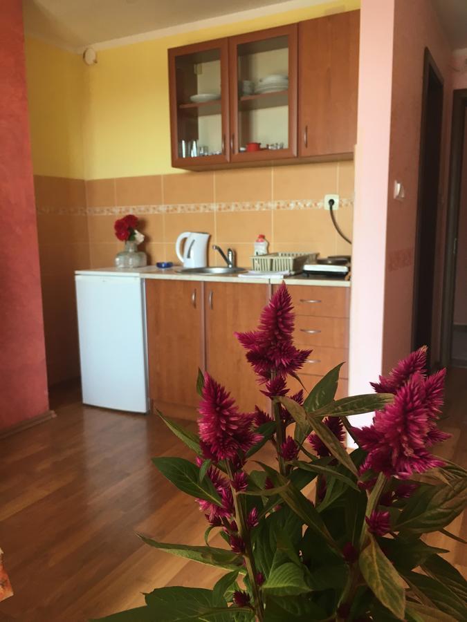 Sunny Villa Apartments Budva Buitenkant foto